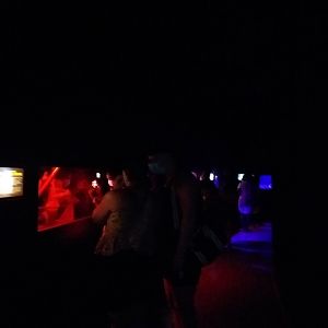 Nocturnal area -TerraNatura Benidorm (2021)