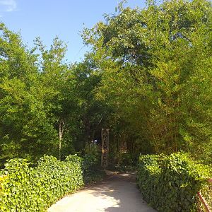 America view -TerraNatura Benidorm (2021)