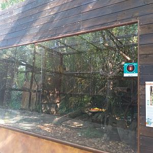 Bolivian squirrel monkey exhibit -TerraNatura Benidorm (2021)