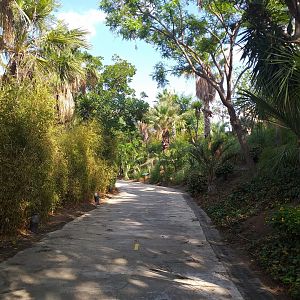 Green-winged macaw area -TerraNatura Benidorm (2021)