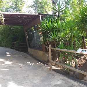 Pygmy marmoset and Green-winged macaw area -TerraNatura Benidorm (2021)