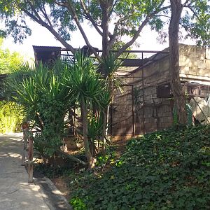 Military macaw, Blue-and-gold macaw and White-throated toucan exhibit -TerraNatura Benidorm (2021)