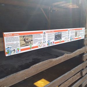 Llama, Domestic goat and Domestic sheep signae -TerraNatura Benidorm (2021)