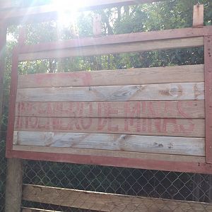 America farm themeing -TerraNatura Benidorm (2021)