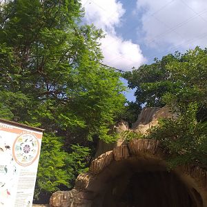 Aviary view -TerraNatura Benidorm (2021)