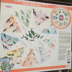 Outdated sign -TerraNatura Benidorm (2021)