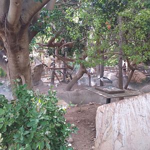 Aviary view -TerraNatura Benidorm (2021)