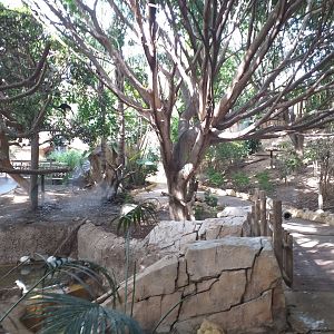 Aviary view -TerraNatura Benidorm (2021)