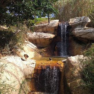 Waterfall -TerraNatura Benidorm (2021)