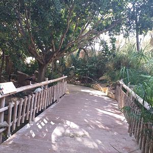 Bridge -TerraNatura Benidorm (2021)