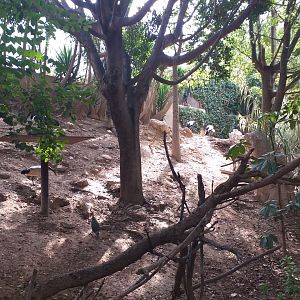 View in the aviary -TerraNatura Benidorm (2021)