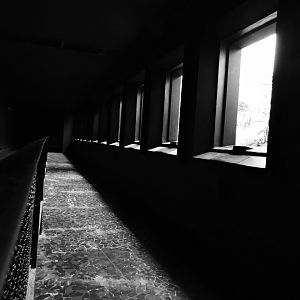 Bird House Dark Room