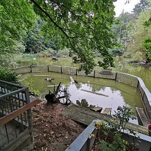 Enclosure for slider turtles