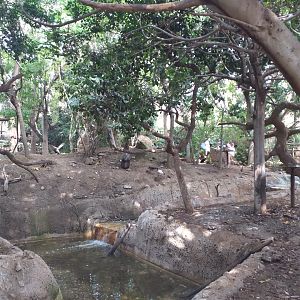 Aviary view -TerraNatura Benidorm (2021)