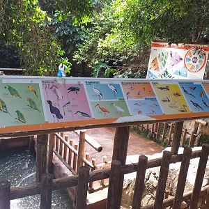 Signae -TerraNatura Benidorm (2021)