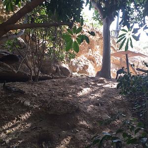 Aviary view -TerraNatura Benidorm (2021)