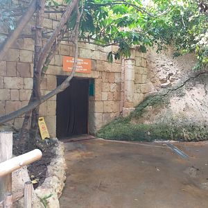 Aviary exit -TerraNatura Benidorm (2021)