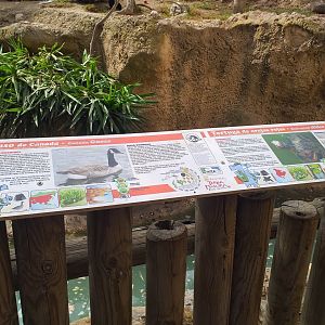 Canada goose and Red-eared slider signs -TerraNatura Benidorm (2021)