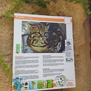 Ocelot sign -TerraNatura Benidorm (2021)