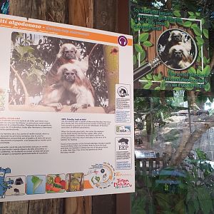 Cotton-topped tamarin sign -TerraNatura Benidorm (2021)