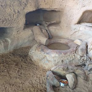 Six-banded armadillo exhibit -TerraNatura Benidorm (2021)