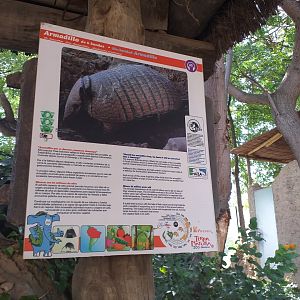Six-banded armadillo sign -TerraNatura Benidorm (2021)
