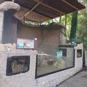 Empty Black-tailed prairie dog exhibit -TerraNatura Benidorm (2021)
