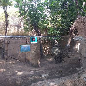 Empty exhibit -TerraNatura Benidorm (2021)