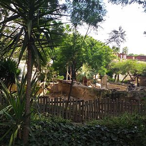 View from the peccary exhibit -TerraNatura Benidorm (2021)