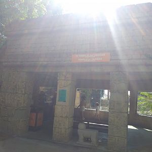 Jaguar temple -TerraNatura Benidorm (2021)