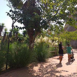 Road to Asia -TerraNatura Benidorm (2021)