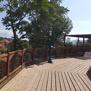 Elephant viewing area -TerraNatura Benidorm (2021)