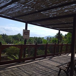 Elephant viewing area -TerraNatura Benidorm (2021)