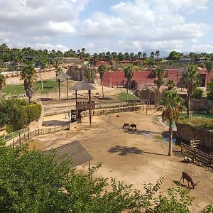 View of elephant and hoofstock paddocks -TerraNatura Benidorm (2021)