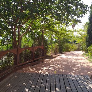 Road to Asia -TerraNatura Benidorm (2021)