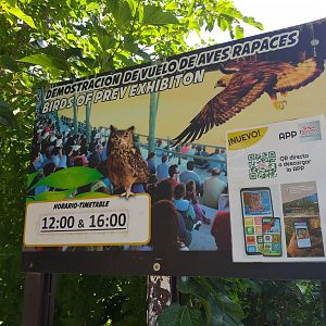 Birds of prey show sign -TerraNatura Benidorm (2021)