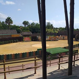 Arena -TerraNatura Benidorm (2021)