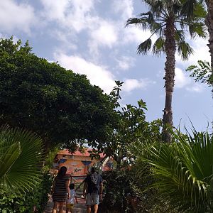 Road to Asia -TerraNatura Benidorm (2021)