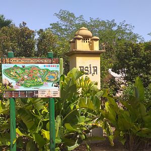 Entrance to Asia -TerraNatura Benidorm (2021)