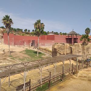Asian elephant, Barashinga, Blackbuck and Axis exhibit -TerraNatura Benidorm (2021)