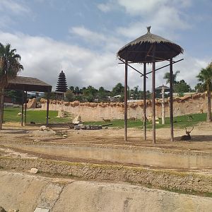 Asian elephant, Barashinga, Blackbuck and Axis exhibit -TerraNatura Benidorm (2021)