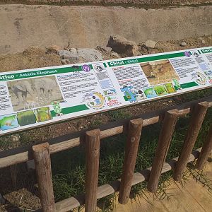 Asian elephant, Blackbuck and Axis signae -TerraNatura Benidorm (2021)