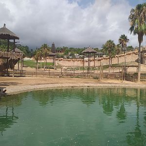 Lake on the Sambar, Dwarf zebu and Dromedary exhibit -TerraNatura Benidorm (2021)