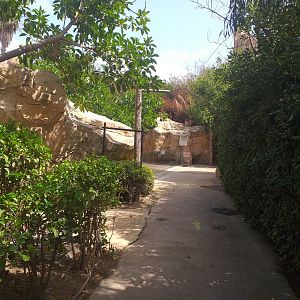 Road to the muntjac exhibit -TerraNatura Benidorm (2021)