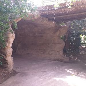 Fallen log -TerraNatura Benidorm (2021)