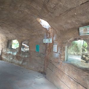 Fallen log view -TerraNatura Benidorm (2021)