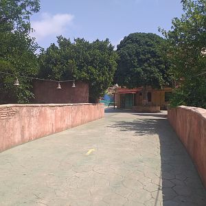 Road to the Indian village -TerraNatura Benidorm (2021)