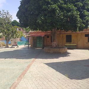 Indian village -TerraNatura Benidorm (2021)