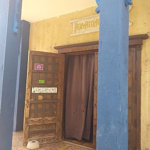 European honey bee exhibit -TerraNatura Benidorm (2021)