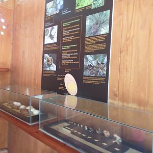 "El Nido" -TerraNatura Benidorm (2021)